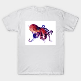 Octopus, Red Purple Ocotpus Artwork T-Shirt